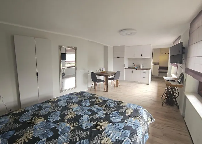 Apartament Wierzbowa - Pod Orzechem